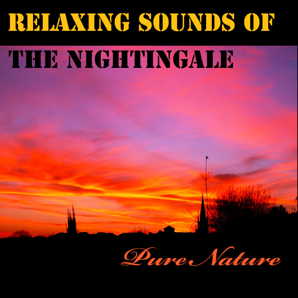 Pure Nature - RELAXING SOUNDS OF THE NIGHTINGALE