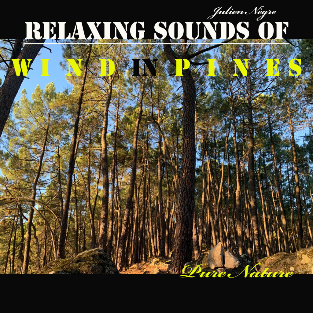 Pure Nature - RELAXING SOUNDS OF WIND IN PINES