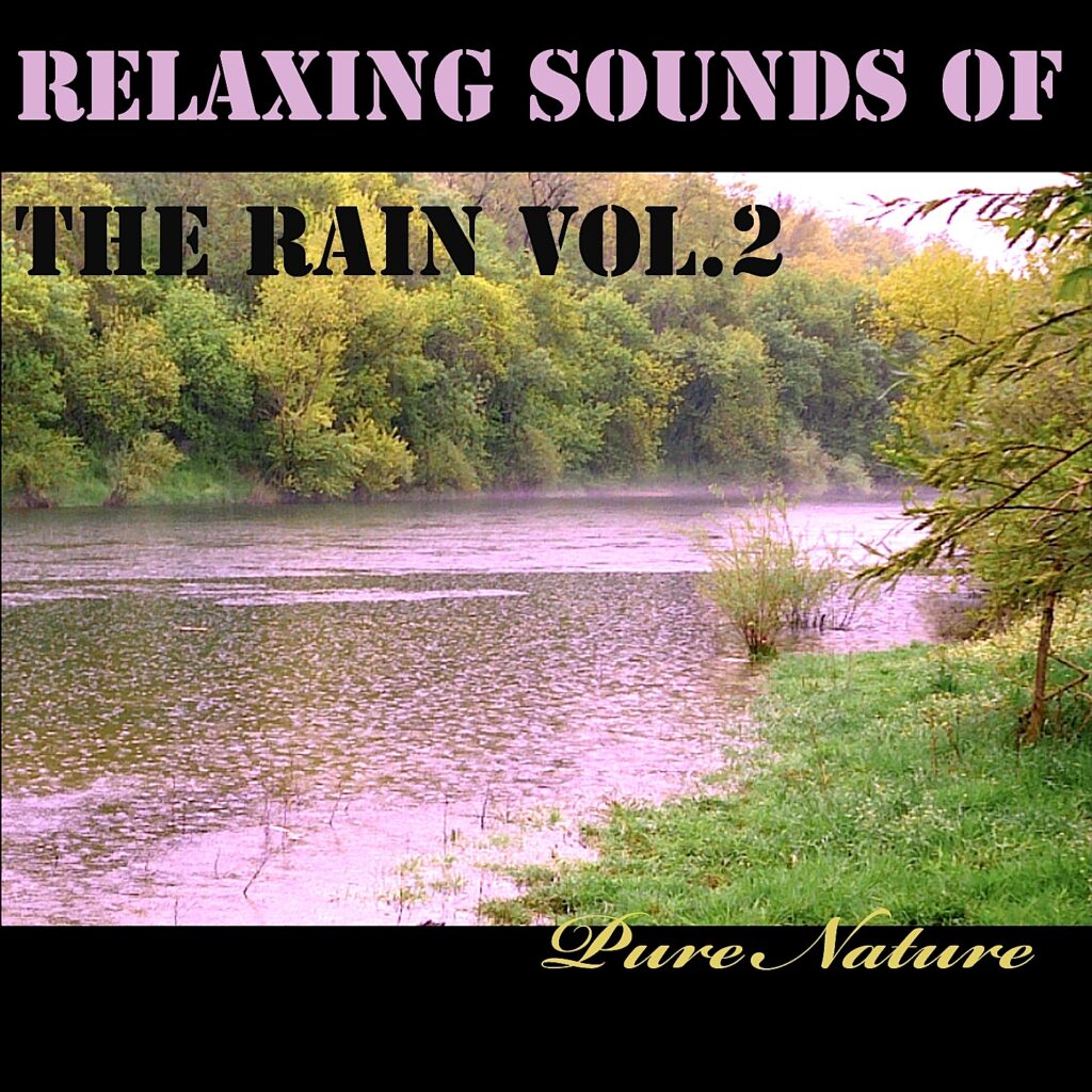 Pure Nature - RELAXING SOUNDS OF THE RAIN VOL.2