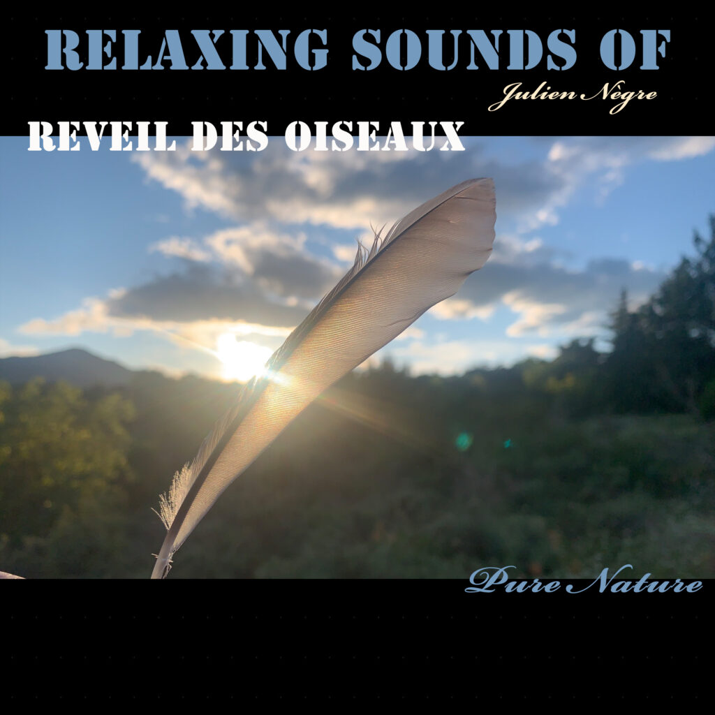 Pure Nature - RELAXING SOUNDS OF REVEIL DES OISEAUX