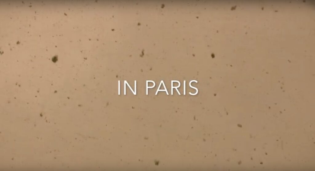 Video Clip - SNOW TEARS IN PARIS