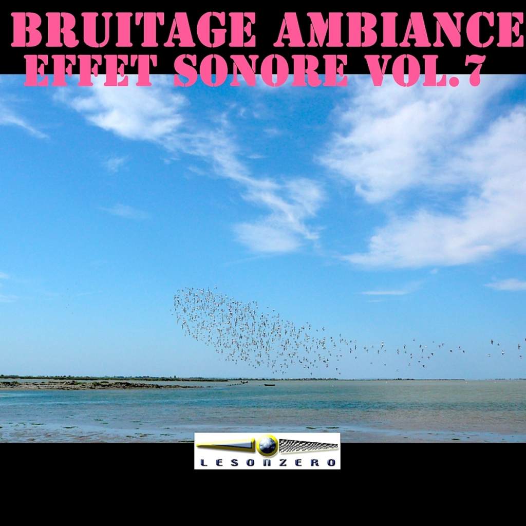 BRUITAGE AMBIANCE EFFET SONORE Vol.7