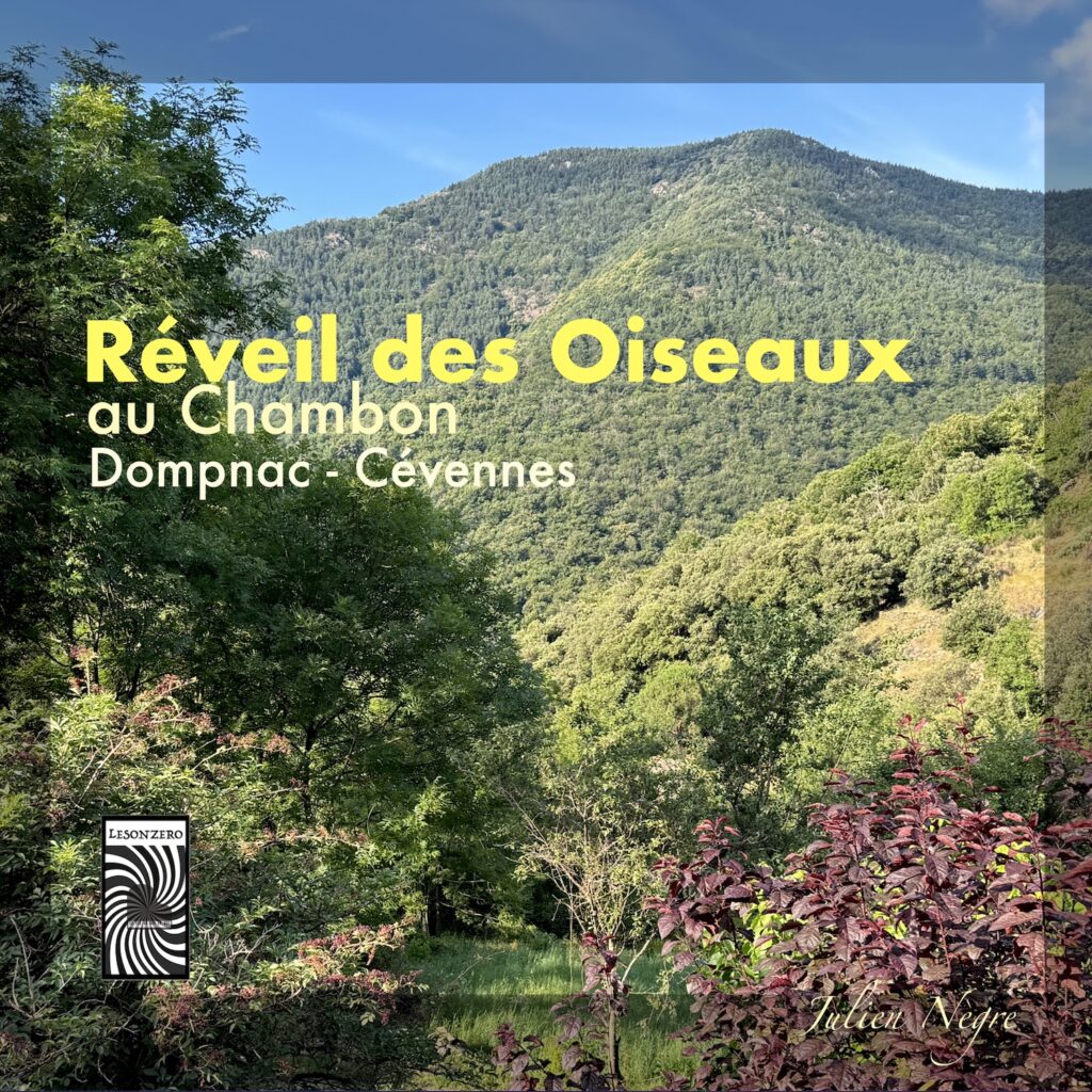 Carnet Sonore - REVEIL DES OISEAUX au CHAMBON - Dompnac Cévennes